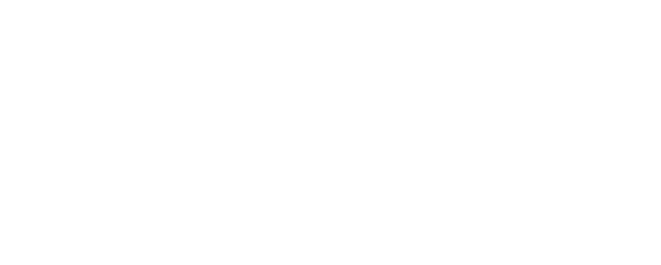 undp-logo